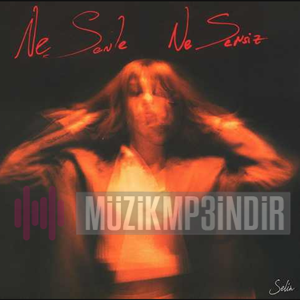 دانلود آهنگ Human - Selin از Selin