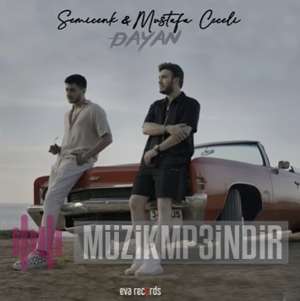 دانلود آهنگ Al Sevgilim (Mert Kurt Remix) - Semicenk از Semicenk