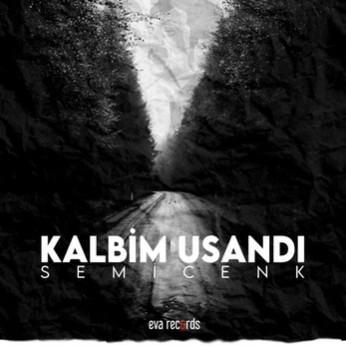 دانلود آهنگ Düşer Aklıma - Semicenk از Semicenk