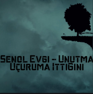 دانلود آهنگ Arkamdan Konuşan Karım - Şenol Evgi از Şenol Evgi