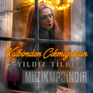 دانلود آهنگ Bayılıyorum - Yıldız Tilbe از Yıldız Tilbe