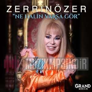 دانلود آهنگ Zerrin Özer از Ne Halin Varsa Gör
